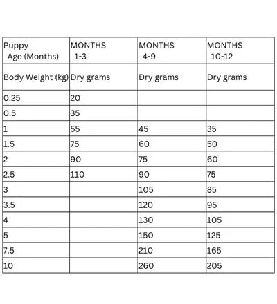 Hill’s Science Plan Small & Mini Puppy Food With Chicken 300g