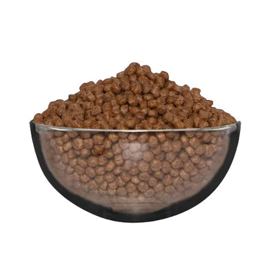 Kit Cat No Grain Kitten Recipe Super Premium Dry Food 1 KG